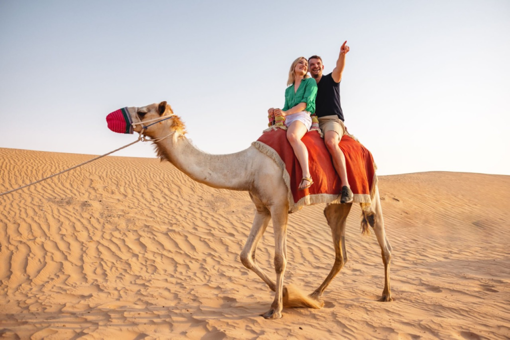Camel Ride Desert Safari