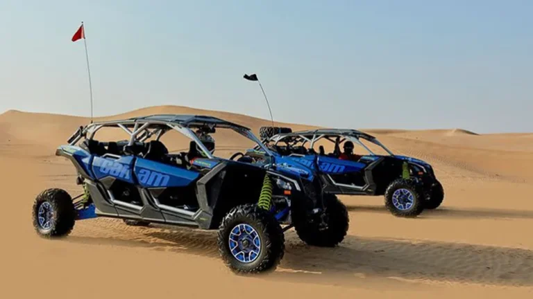 Dune Buggy Ride