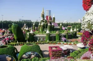 miracle garden