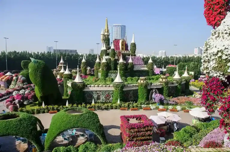 miracle garden