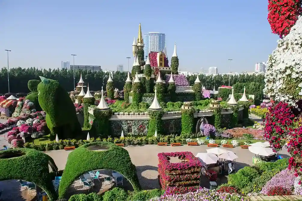 miracle garden